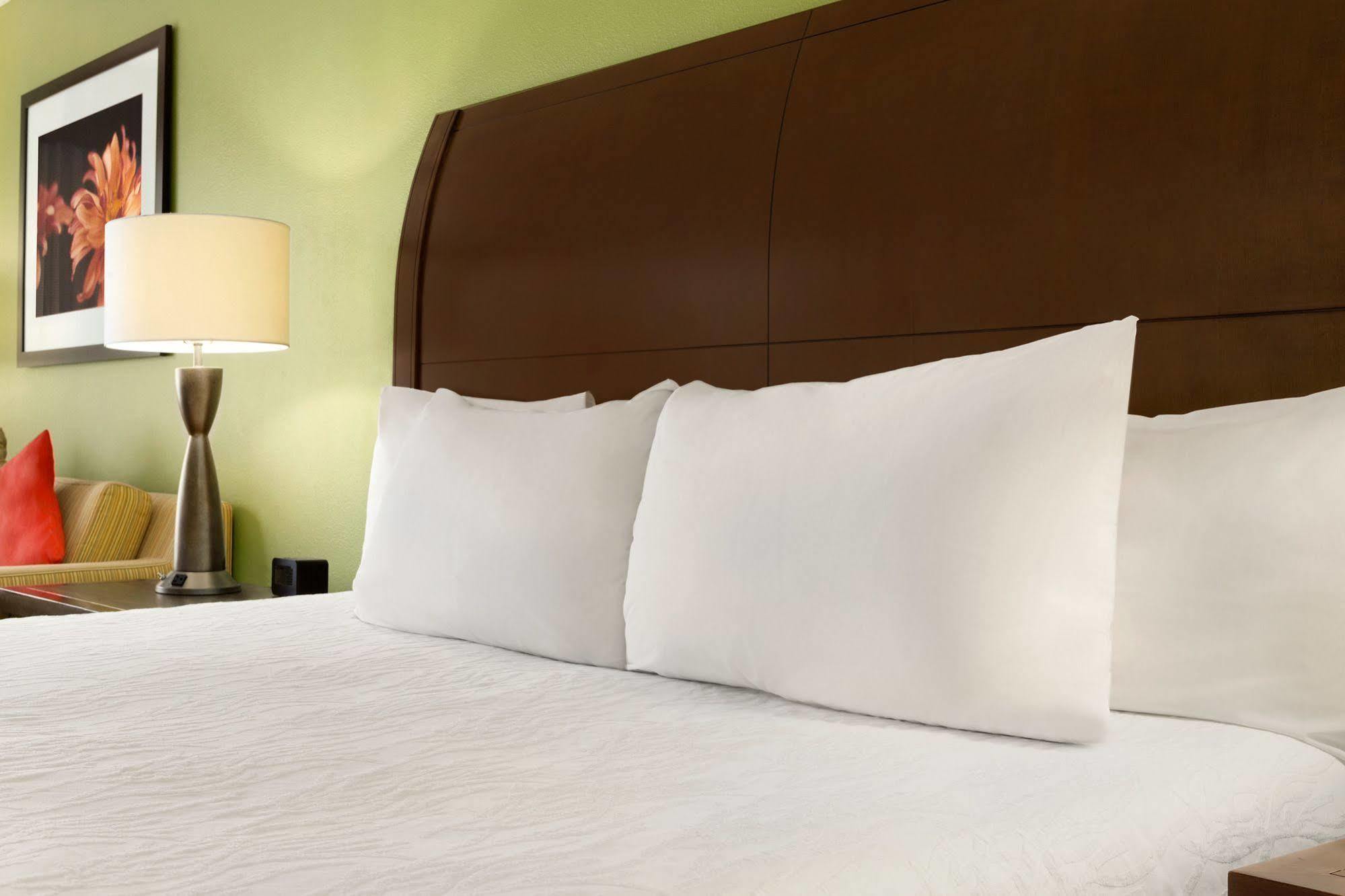 Hilton Garden Inn Atlanta Perimeter Center Dunwoody Exterior foto